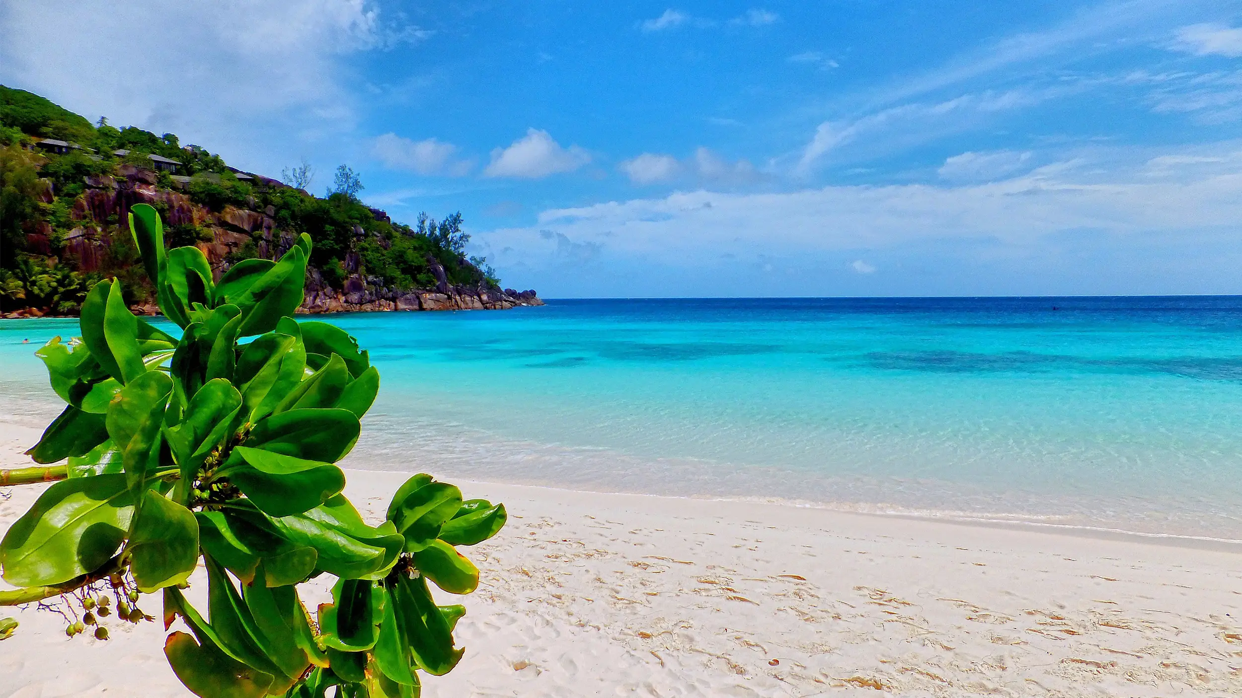 Bahamas