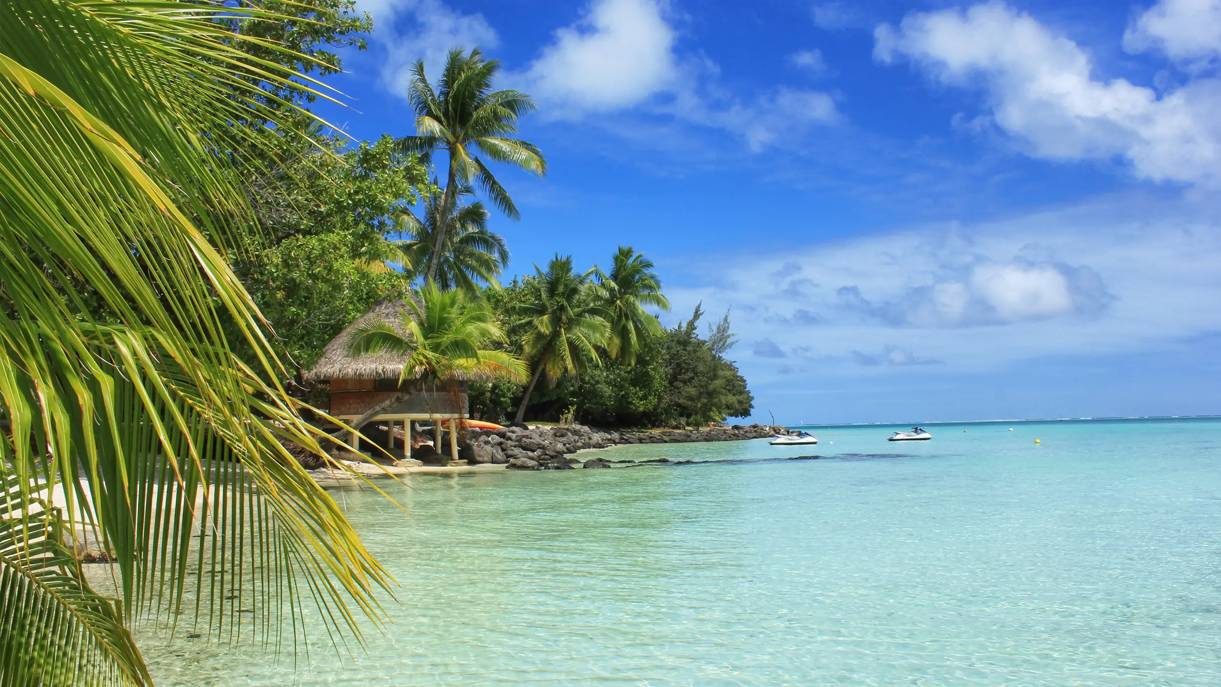 Caribbean