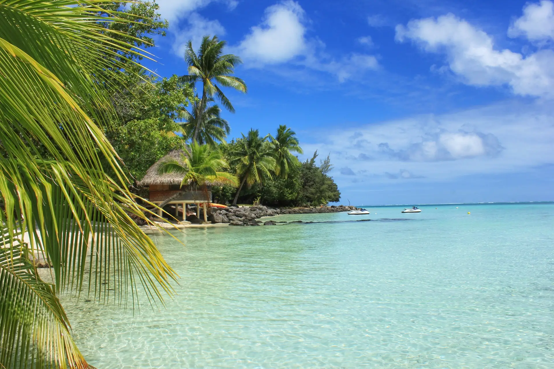 Caribbean Destination